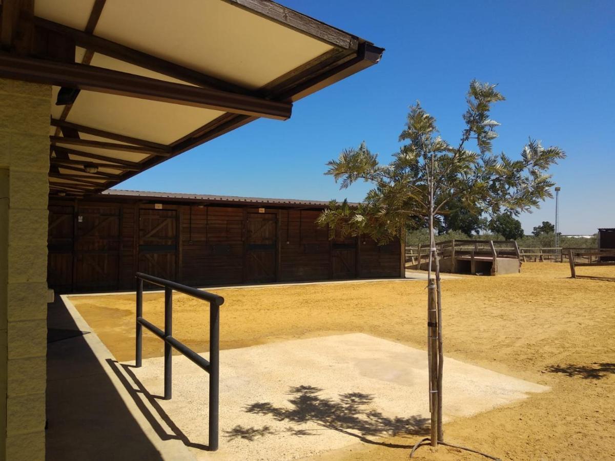 Casa Rural Ecuestre Fuente Palmera Exterior foto